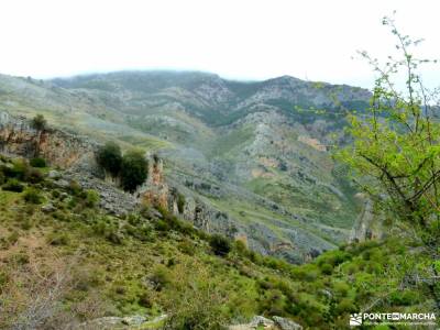 Parque Natural Cazorla-Sistema Prebético;somiedo parque natural ayuntamiento lozoya vall de laguar 